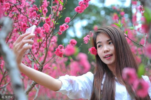 为哪些这几个叫桃花星？