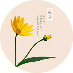 秋分这天能否结婚？