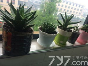 三、避免有毒或刺的植物
