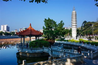 厦门环岛路：碧海椰林，浪漫海滨，打卡爆款胜地
