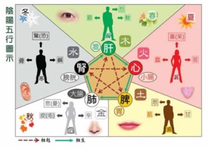 五行布局
