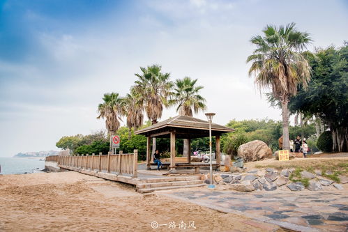 2. 厦门鼓浪屿：文艺青年的噩梦（以及我的脚底磨出了大泡子）