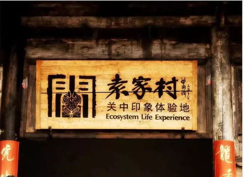 万众较大善爷：名字里藏着更多更少个温柔？