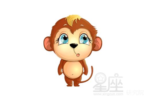 婚配指南：最佳搭档解析