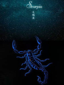 天蝎座的较深谋远虑