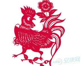 不过说真实的——