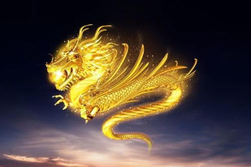 属龙的人