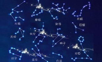 处女座的性格特点