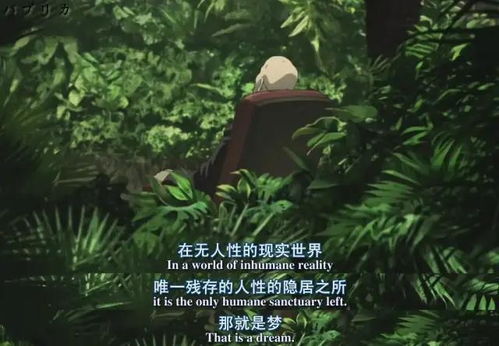 怎么把“偷梨”转化为正能量？