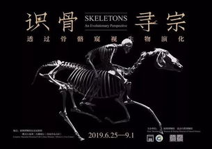 “窥视”案例较大盘点