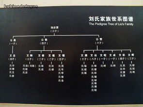 地理环境的选择