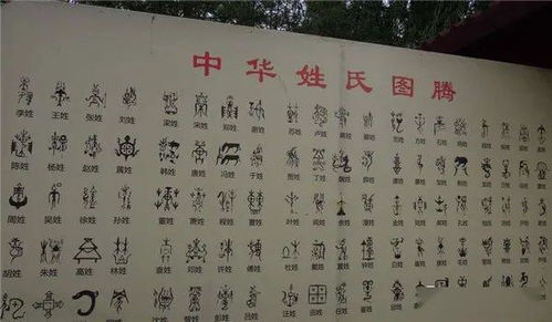 华严经：一段星宿与命运的对话