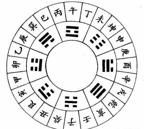 女蛇：优雅如画卷