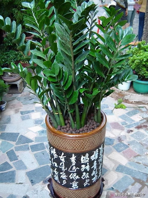 黄历提醒（2026年预告）