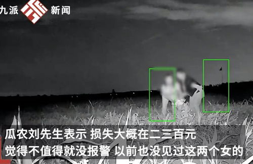 墙塌：警惕第三者