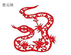 身体健康状况运势：需注意防范意外