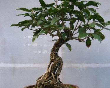 方位选对了财运天然开
