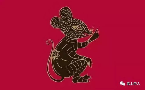 一、 乱七八糟的取名原则（其实也算原则）