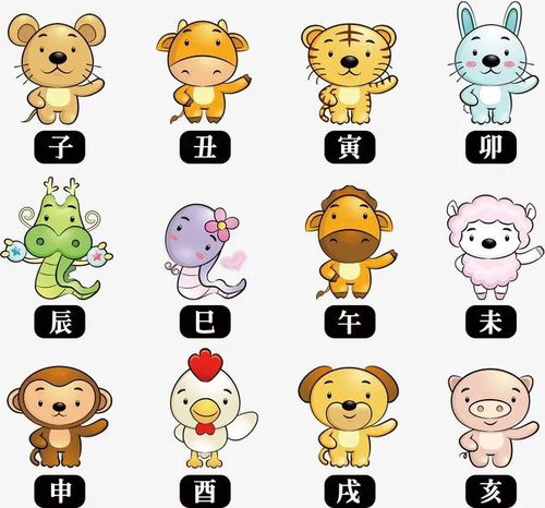 十二生肖特性解析