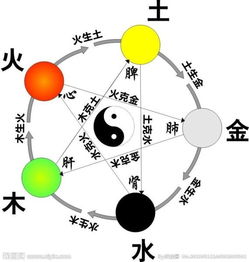 灰色在五行中的归属：争议与认同
