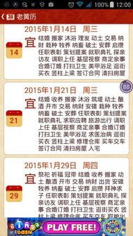 针对属羊人的提议