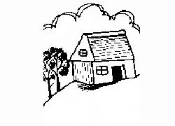 避免踩雷——禁忌清单（记住啦）