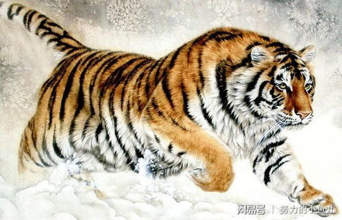 老虎， 象征着力量、无畏和智慧
