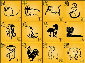 哪个生肖动物预示着即将出碟？