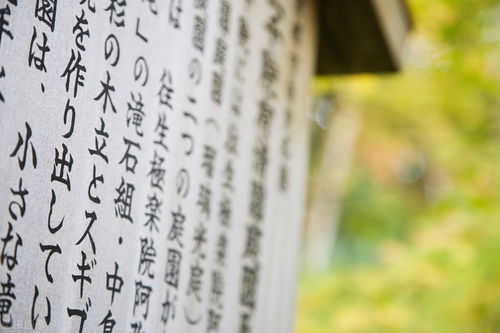 字形美感