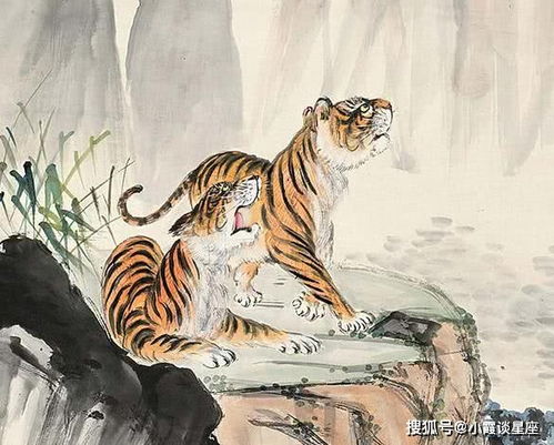 市场价格较高人相助，事业腾飞的关键