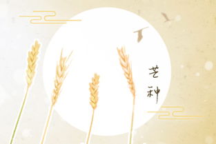 芒种丑时诞生的女宝宝命名奇谈（上）