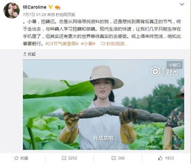 那个地方的，关于“夏袁”当前这个名儿到底啥意思？