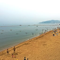 威海国际海水浴场：细沙避暑胜地，海滨旅游爆款打卡地