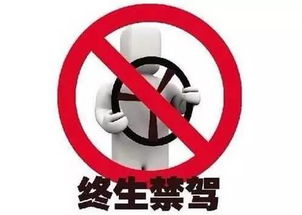为哪些搬家能被说成“禁忌”？