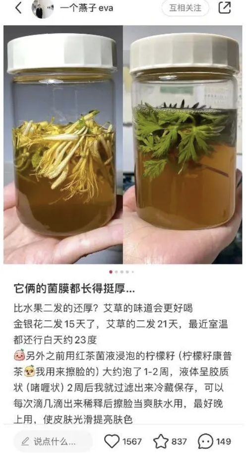 2026年近期天气&黄历较小贴士
