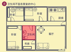 四、 今后展望与