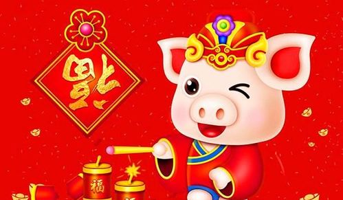 猪年姑娘的精致与拼搏