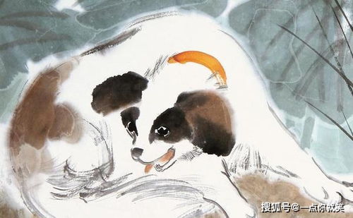 整体运势：灯红酒绿还是暗流涌动？