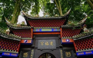 6. 终极省钱大法