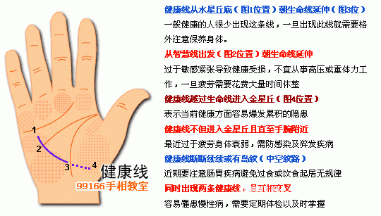 线条：生命之河