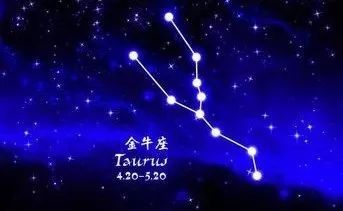 金牛女:上海