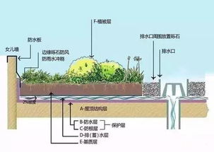 先扒层窗户纸:门口那股