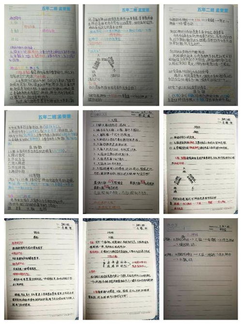 第四步：兴趣引导， 让学习了解变成玩乐