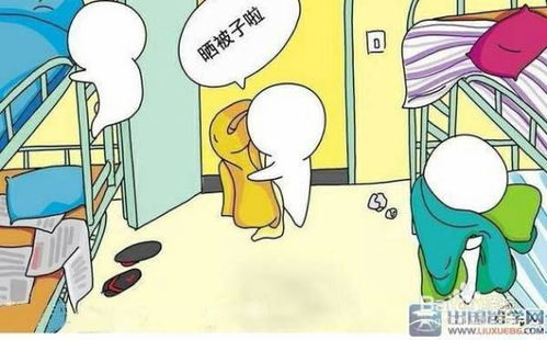 求学者和创业者的梦境