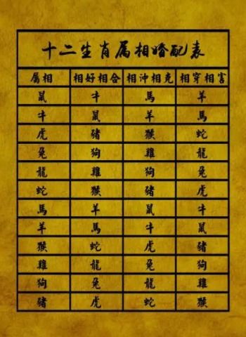 谁能让你心动？女性群体属相的最佳伴侣攻略