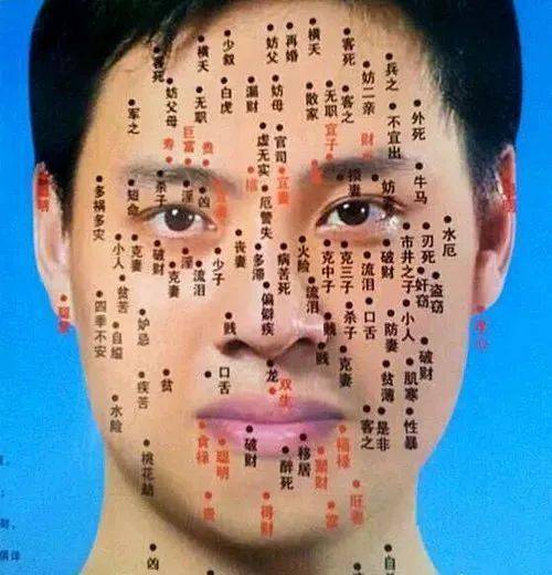 鼻翼边缘有痣——你的今后像美洲豹一样野性十足！