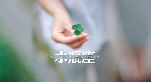 五、 马——自主而又精准