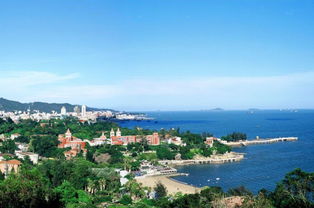 厦门环岛路：碧海椰林，浪漫海滨，打卡爆款胜地