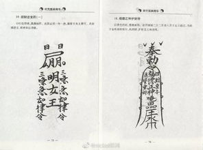 1）核心理状态念：无上和符合法规力