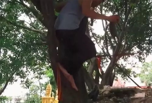 财运与事业的暗流涌动